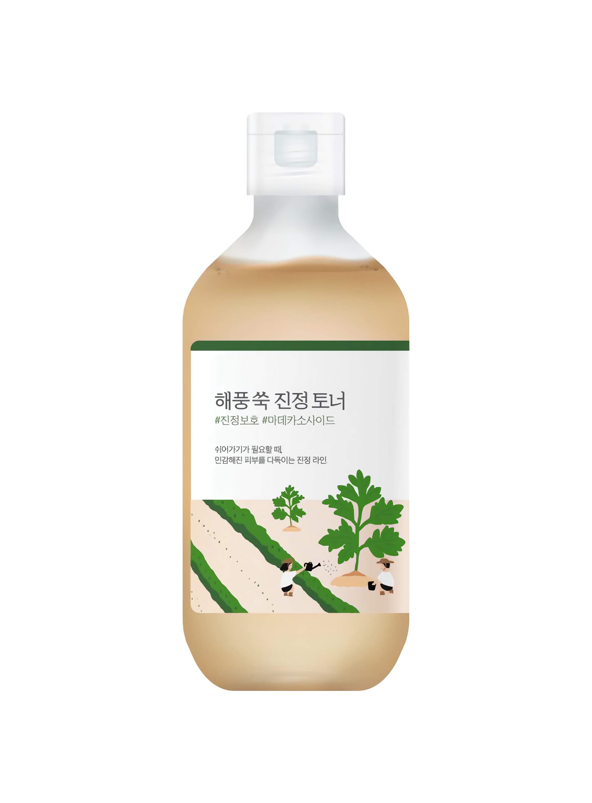 Round Lab Mugwort Calming Toner – raminamasis tonikas su pelynu
